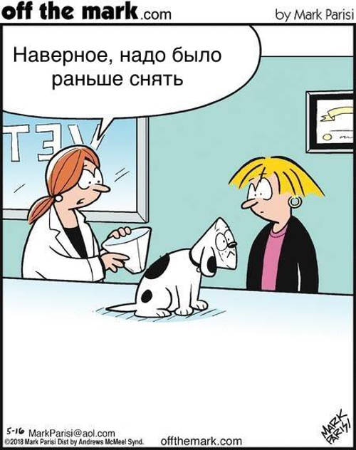 Анекдоты о ветеринарах